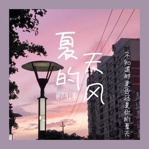 夏天的风