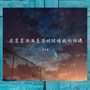 如果我有多一张船票