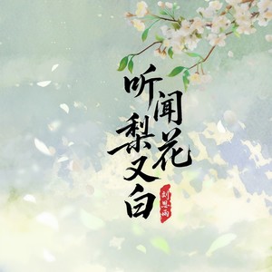 听闻梨花又白