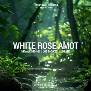 White Rose Amot (Nevall Nenne,Los Dhykez ft LDZate)