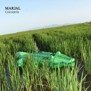 Cocodrils