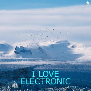 I Love Electronic