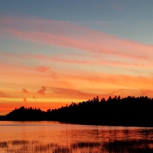 Wild / Sunny Side / Dark Hollow