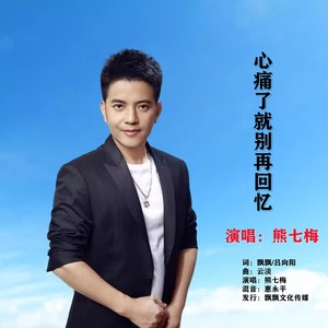 心痛了就别再回忆