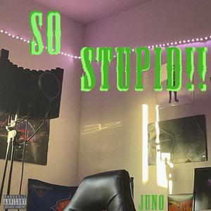 SO STUPID (Explicit)