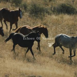 Echoes Of Nature