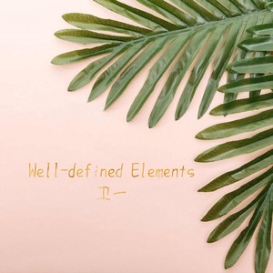 Well-defined Elements