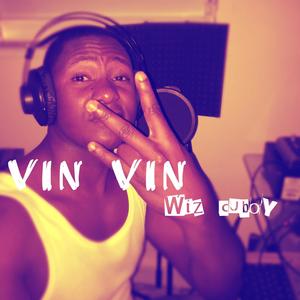 Vin Vin