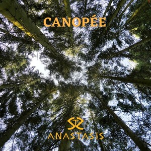 Canopée