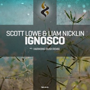 Ignosco (Original Mix)