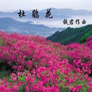 杜鹃花