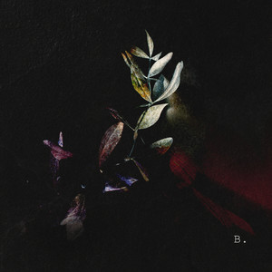 Falling From The Sky