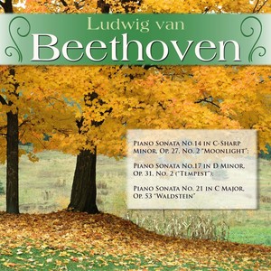 Piano Sonata No.14 in C-Sharp Minor, Op. 27/2 
