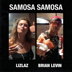 Samosa Samosa(feat. Brian Levin)