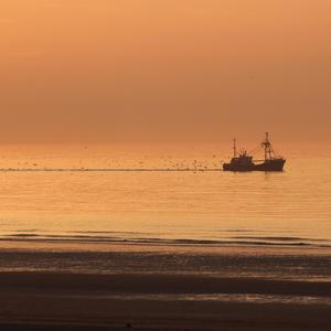 Orange terrace (feat. Jamelgo)