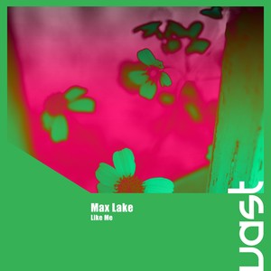 Like Me (Extended Mix)