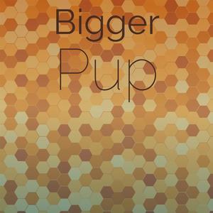 Bigger Pup