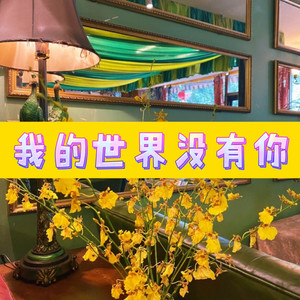 伤心的雪花 (梦想版)