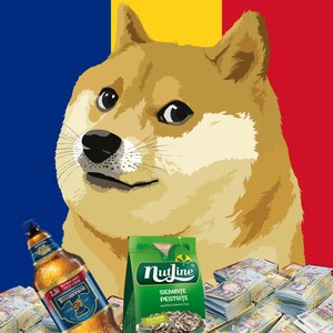 Maneaua Dogecoin(feat. Adi din Galati)