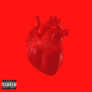 Arteries. (Explicit)