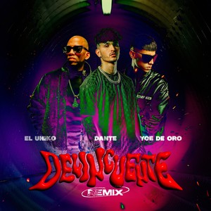 Delincuente (Remix)