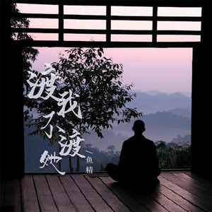 渡我不渡她 (DJ彭锐版)封面