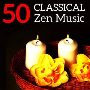 Cello Concerto No. 1 in C Major, Hob. VIIb:1: II. Adagio