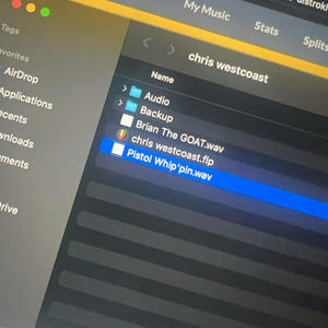 Pistol Whip'pin (feat. Brianneverlose) (Explicit)