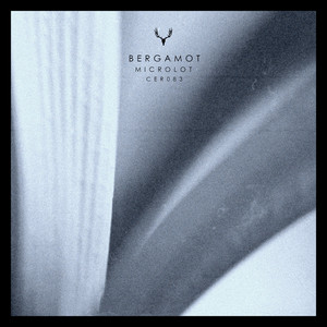 Bergamot (Original Mix)