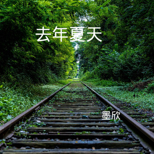 去年夏天 (DJ版)