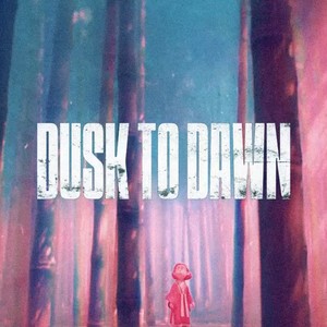 DUSK TO DAWN