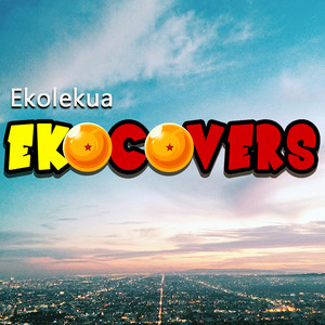 Ekocovers