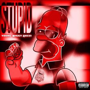 (Young Wiggy Guzzi) Stupid! (Explicit)