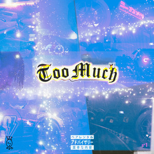 Too Much (Explicit)