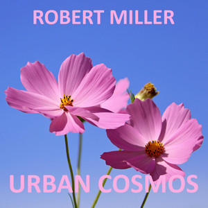 Urban Cosmos