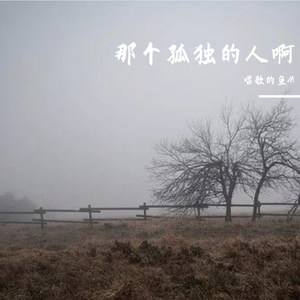 那个孤独人啊