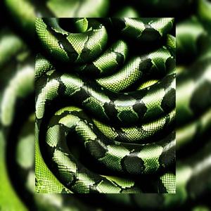 Love Drip (feat. Blueice Davies) (Explicit)