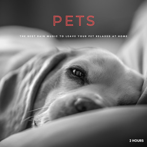 Pets: The Best Rain Music To Leave Your Pet Relaxed At Home - 2 Hours