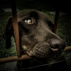 Someday Soon (feat. SEGOVIA)