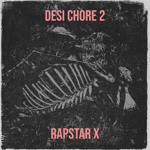 Desi Chore 2