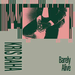 Barely Alive (Timothy J Fairplay Remix)