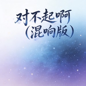 对不起啊 (混响版)