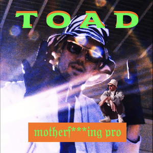 ************* Pro (Explicit)