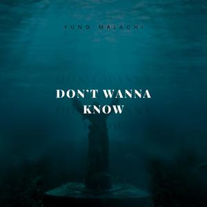 Don't Wanna Know
