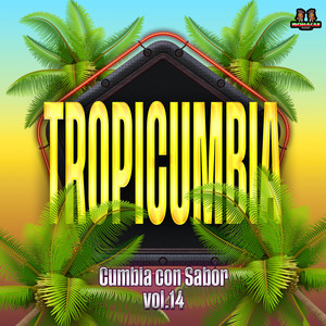 Cumbia Con Sabor Vol. 14