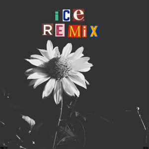 Ice (Club Remix)