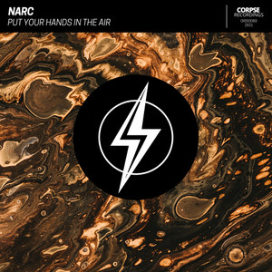 Put Your Hands in the Air