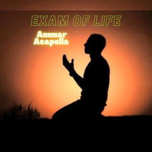 Exam Of Life