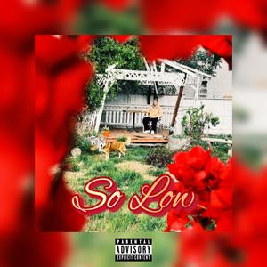 So Low (feat. Matt Anthony & PDawg) [Explicit]