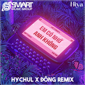 Em Có Nhớ Anh Không (Remix)